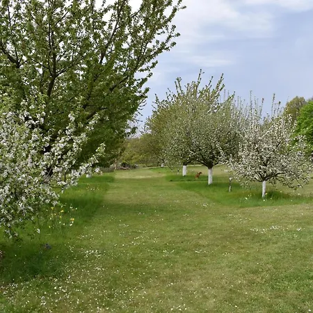 Le Verger Du Patagon Limelette